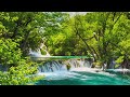 Meditation Music 15 Minutes: Mind Relaxing Music, Spa Music Relaxation, Calm Music, Flowing Stream