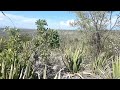 The hidden life of Mexico's semi-desert