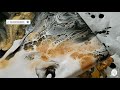 BLACK AND WHITE WITH GOLD DUTCH POUR PAINTING/ Fluid Art/ Acrylic Pouring/ Amazing Result