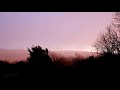 Starlings in flying through snow showers at dusk