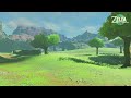 quiet your mind... Relaxing video game music ( Zelda music) for sometimes you just wanna peace