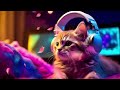 KITTEN LOFI HIPHOP TO STUDY AND RELAX #1