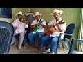 Cachito de Luna, Trio Gavilanes Huastecos