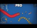 NOOB vs PRO vs HACKER - Worms Zone .io