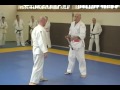 Les 20 techniques Jujitsu