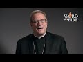 Three Levels of Temptation - Bishop Barron's Sunday Sermon