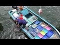Live Fish Market on Boats. Sai Kung, Hong Kong