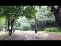A city park with beautiful scenery, the cool sound of rain, white noise asmr