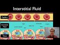 Interstitial Fluid