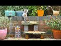 Cat TV for Cats to Watch 😸 Birds & Squirrels on a Garden Wall 🕊️ Bird videos for cats