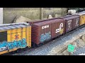 G scale ￼ summer day rail fanning ￼￼￼