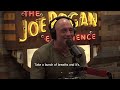 Joe Rogan Cold Plunge | Ice Bath Discussion on the Main Health Benefits