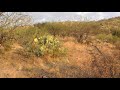 9600 S Six Shooter Canyon Globe AZ overview 2 of build sites