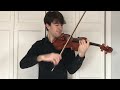 Violin vs. Viola Playing the Same Pieces