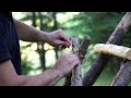Bushcraft Camping in the Wilderness with My Dog - Building a Survival Shelter