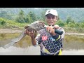 BERUNTUNGNYA AKU...‼️ Nemu Tempat Berkumpulnya Ikan Gabus Babon di Air Dangkal || Casting Haruan