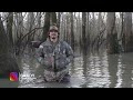 Arkansas Public Land Duck Hunting | January Mallards