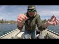 Giant Simcoe Perch and Rainbow Opener