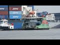 Shipspotting at Vietnam's Cat Lai Port: Container Ships in Action