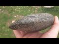 Artifact & Arrowhead Hunting Indiana ( FIND OF A LIFETIME FULL GROVE AXE )