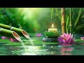 Bamboo Water Fountain Healing 24/7 Relaxing music with the sounds of nature, Bamboo Water Fountain