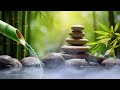 Healing Sleep Music - Eliminate Stress, Release of Melatonin and Toxin | Relaxing & Meditation Music