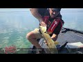 Lake Simcoe Bass Fishing | Fish'n Canada