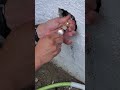 Replacing a broken spigot Pipe from an Apartment Unit