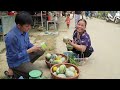 The life of melons from planting to harvest. Robert | Green forest life