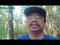 rezeki tetap ada//menjebak tupai di hutan Sibu Sarawak. ep.27.