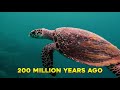 15 Ancient Creatures That Are Still Alive