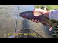 Try this trick next time you are out fly fishing
