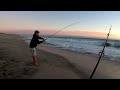 Pesca con CARNADA de ORILLA en BAJA CALIFORNIA SUR.