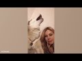 The World's funniest HUSKY   😁 Funny Dogs Video 2024
