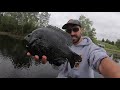 The MOST INSANE BLUEGILL I'VE EVER SEEN!!