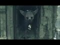 The Last Guardian Trico's First Flight