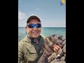 Algunas capturas del grupo Brother & Fishing Veracruz 2020 - 2021