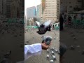 حمام الحرم المكي تصويري 🕊