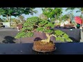 Bonsai Liga 2023 Part #1 [w/ English Subtitles]