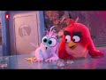 ANGRY BIRDS 2 Best Action Scenes 4K ᴴᴰ