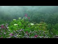 Amazing relaxing music, stress relief, study music with the sound of nature and soft rain.