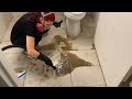 The Most Amazing Bathroom Cleaning