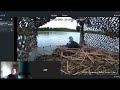 VOD: Live Pacific Loons! Q&A with loon biologist