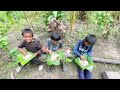 Visiting My Fishery Pond with My Young Companions+ Treating Them with Rare Smoked Pork Curry Mukbang