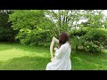Down By The Salley Gardens (Harp) サリーガーデン(ハープ)