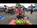 Harvest Melon Goes To Market Sell - Weeding In Preparation For Harvest Rice | New Free Bushcraft