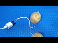 How to generate free electricity with potato (charge your phone) | Simple Tips