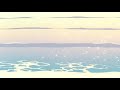 engelwood - crystal dolphin (slowed + reverb)