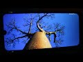 Umidigi A7 Pro 1080p video test