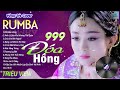 999 ĐÓA HỒNG , THƯƠNG LY BIỆT - LK Nhạc Trẻ Rumba 8x 9x Hót TikTok - ALBUM RUMBA XUẤT SẮC NHẤT